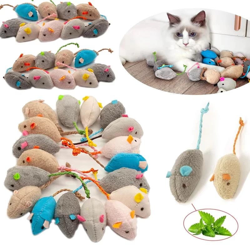 Silicone Flying Disc Toys Mult - Flying Disc Dog Training Toy ulasan dan harga
