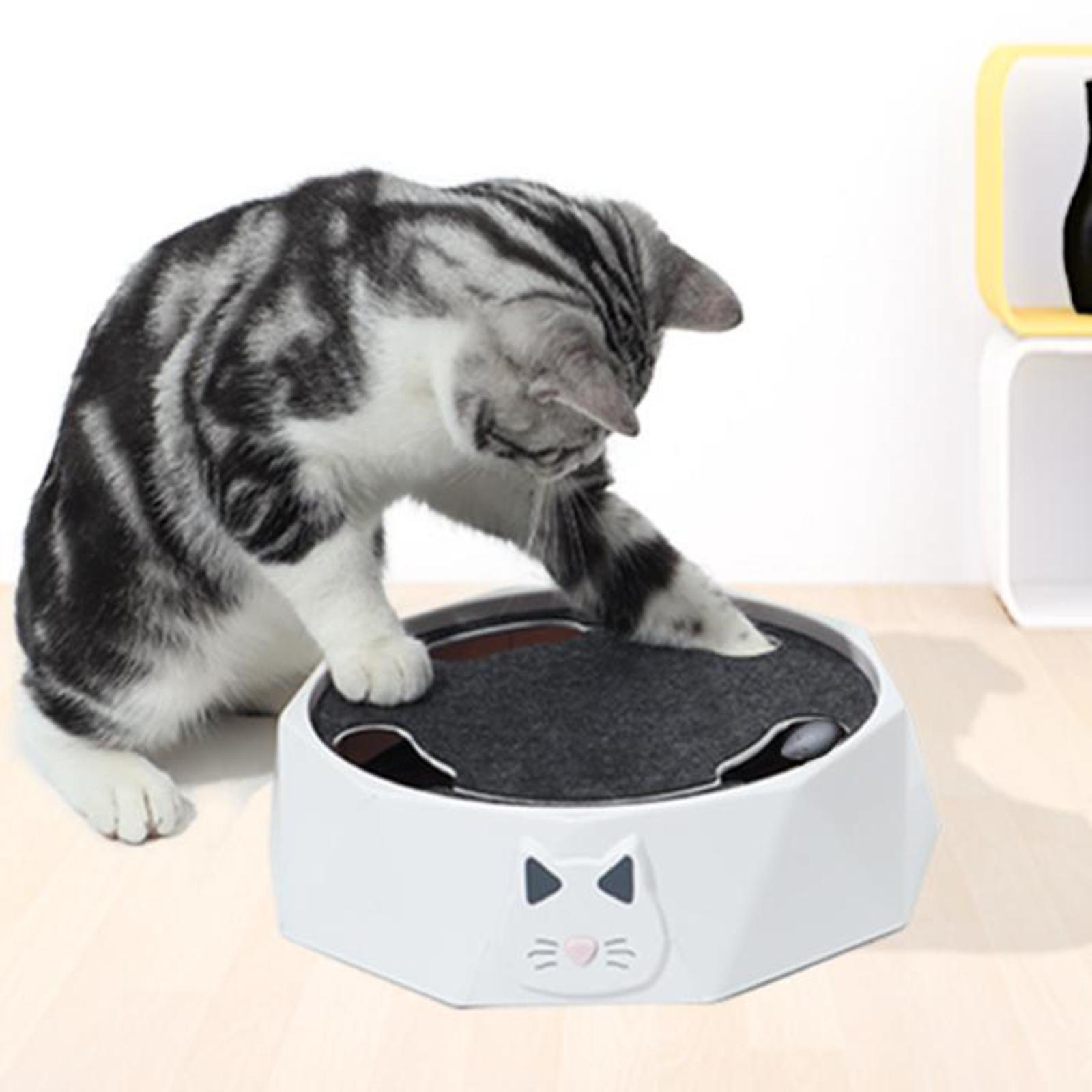 Interactive Cat Toy Portable P - Cat Toys ulasan dan harga