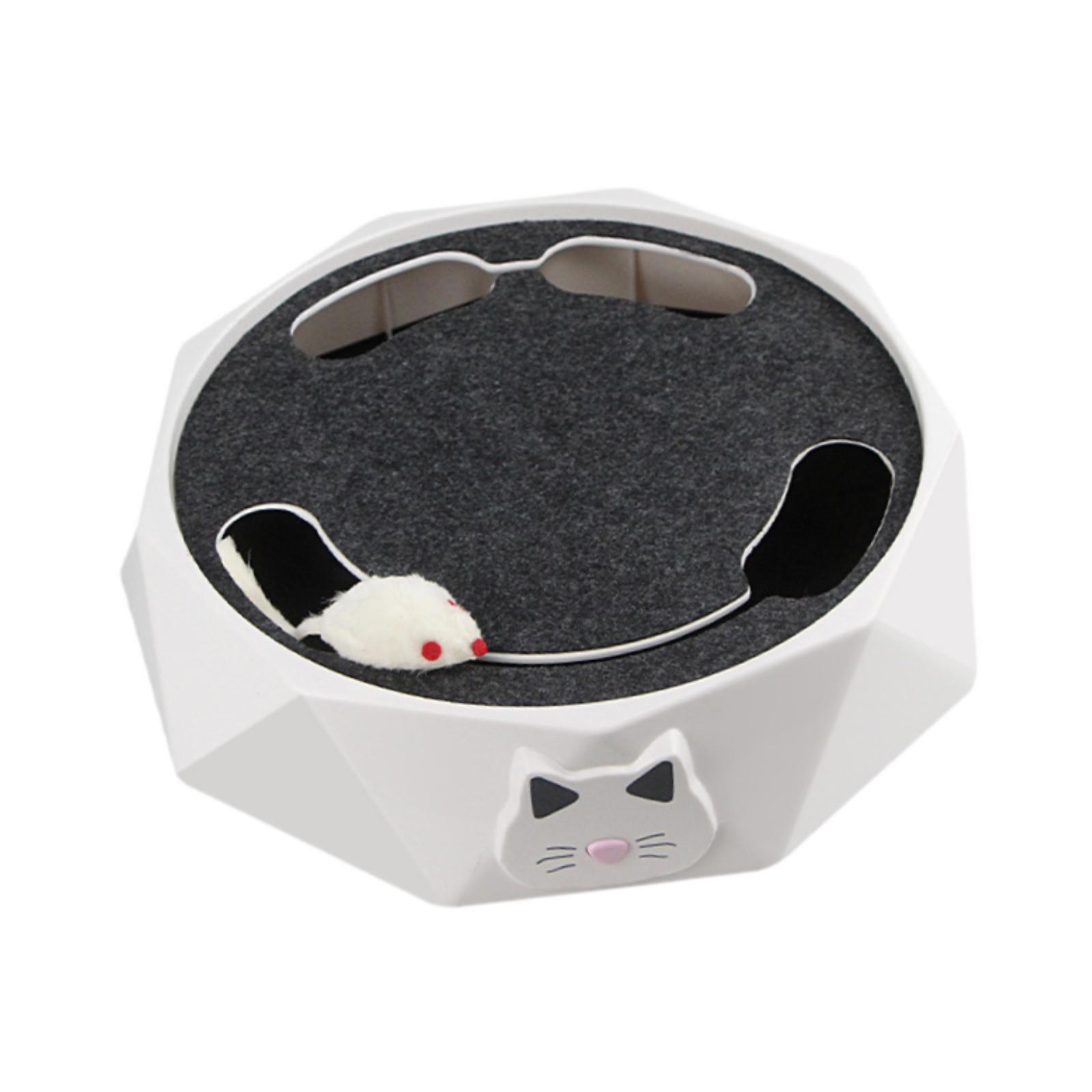 Interactive Cat Toy Portable P - Cat Toys ulasan dan harga