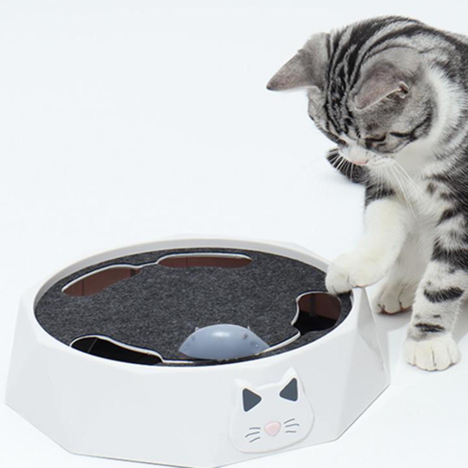 Interactive Cat Toy Portable P - Cat Toys ulasan dan harga