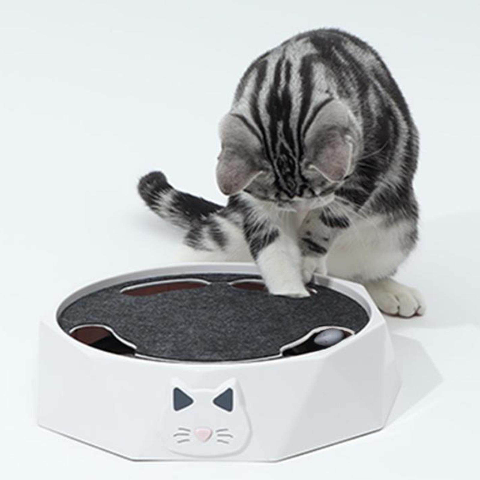 Interactive Cat Toy Portable P - Cat Toys ulasan dan harga