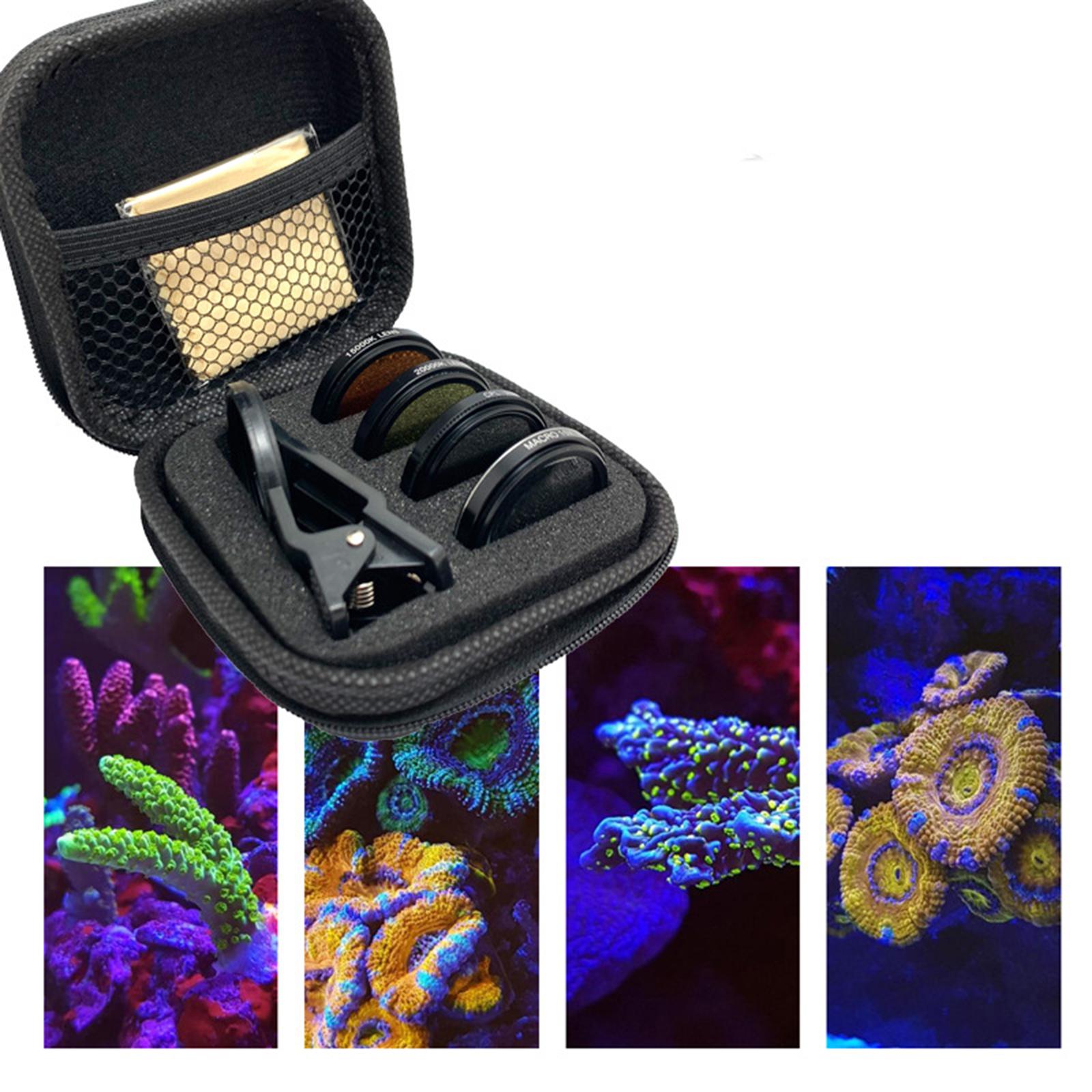 Fish Lens Camera Coral Reef Ph - Aquarium ulasan dan harga